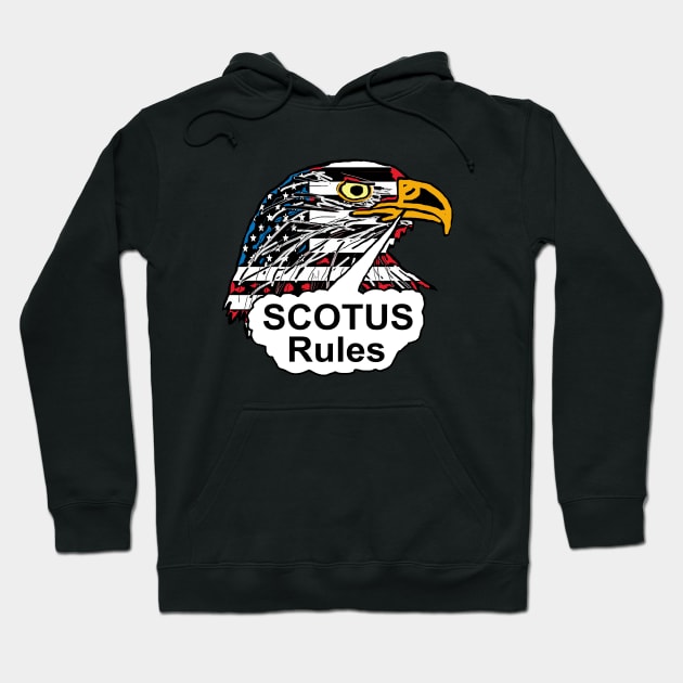 SCOTUS Rules Hoodie by Mark Ewbie